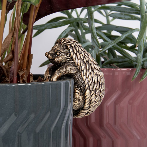 Plant Pot Pals - Hedgehog