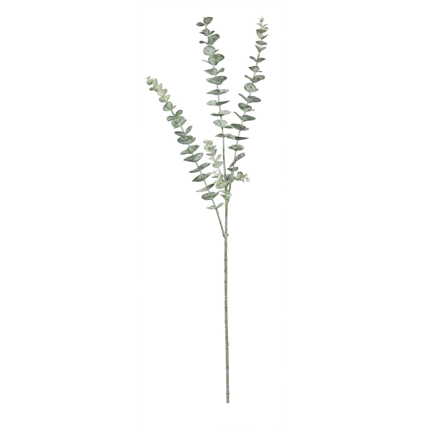 Essential Grey Eucalyptus Spray
