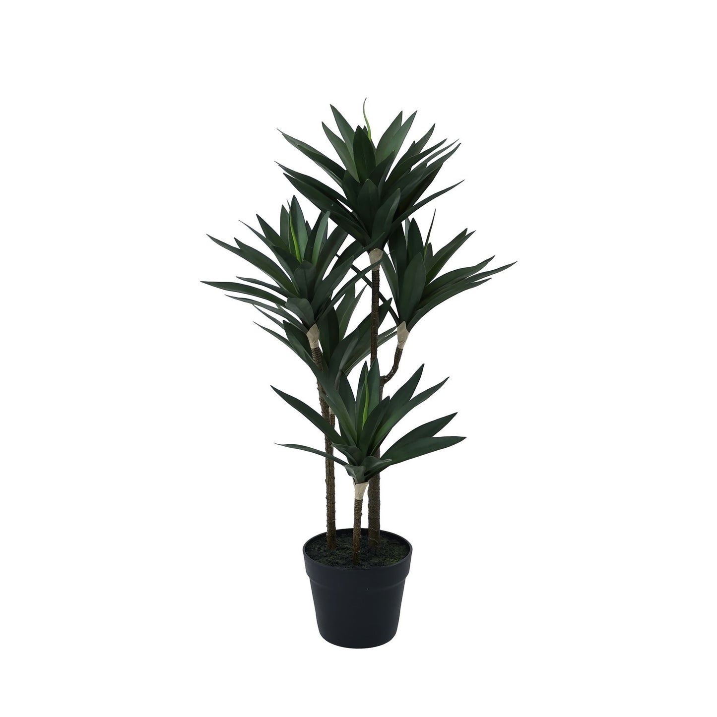 Green Botanica Yucca Tree (78cm)