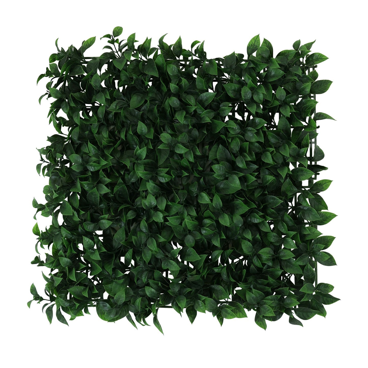 Exterior Bay Wall (50cm x 50cm)