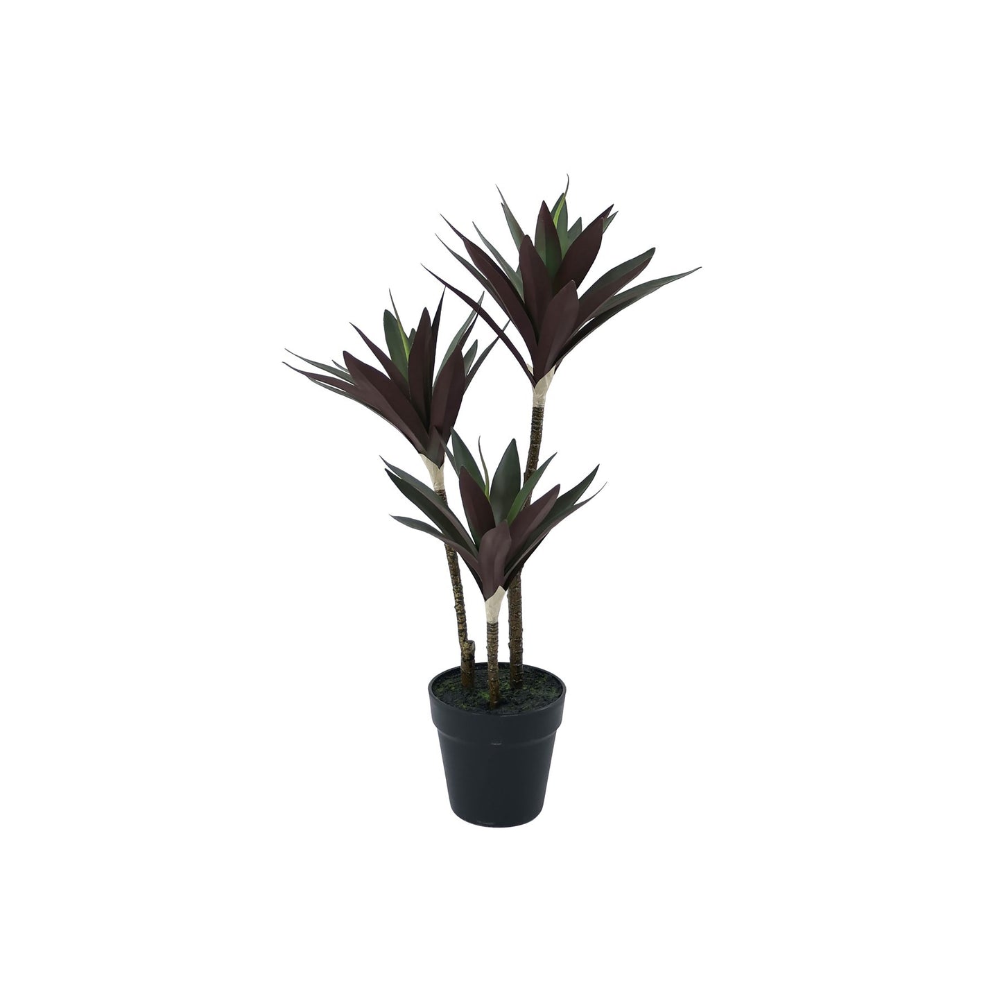 Botanica Yucca Tree in Pot (63cm)