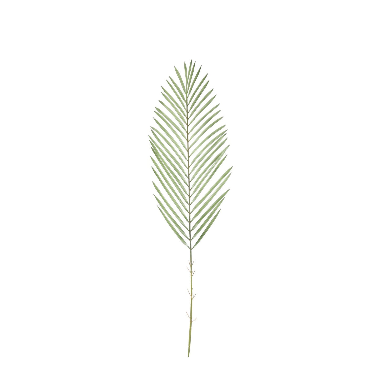 Green Botanica Areca Palm Frond (79cm)