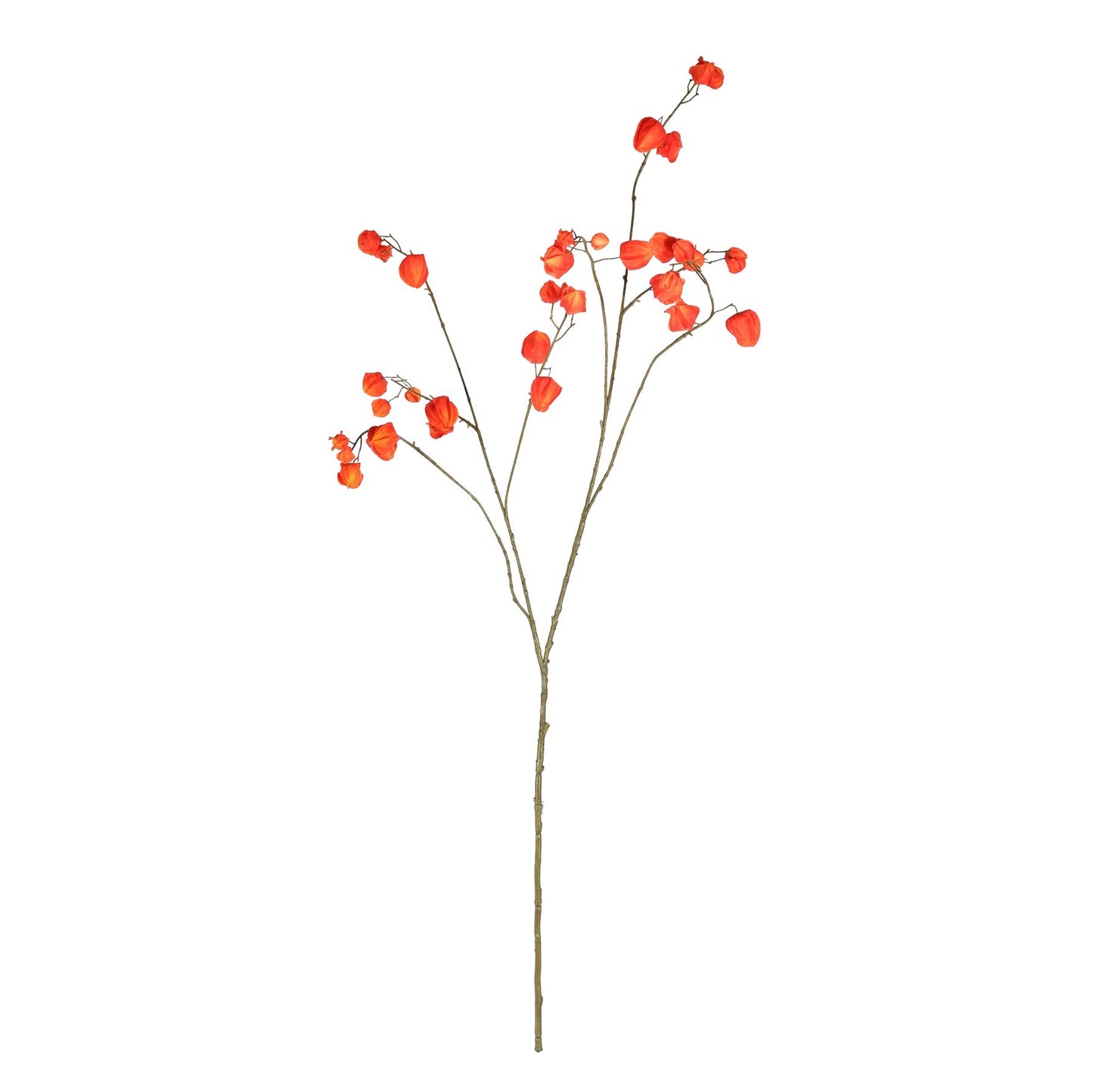 Botanica Orange Fruit Branch (123cm)
