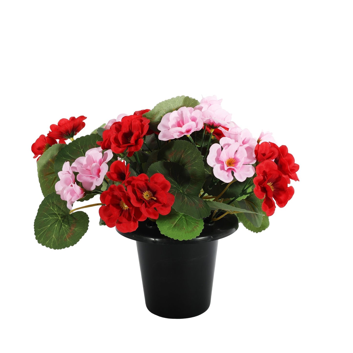 Essential Pink / Red Geranium Remembrance Pot