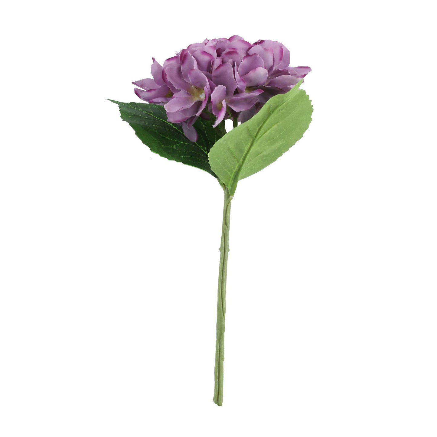 Purple Arundel Hydrangea (34cm)