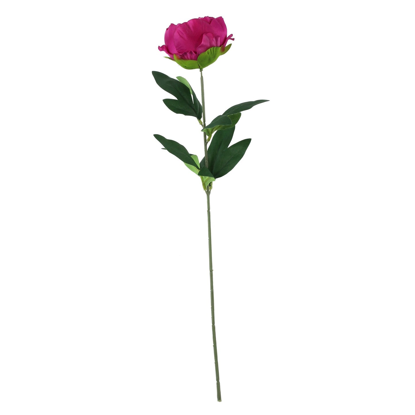 Essential Cerise Arundel Garden Peony (57cm)