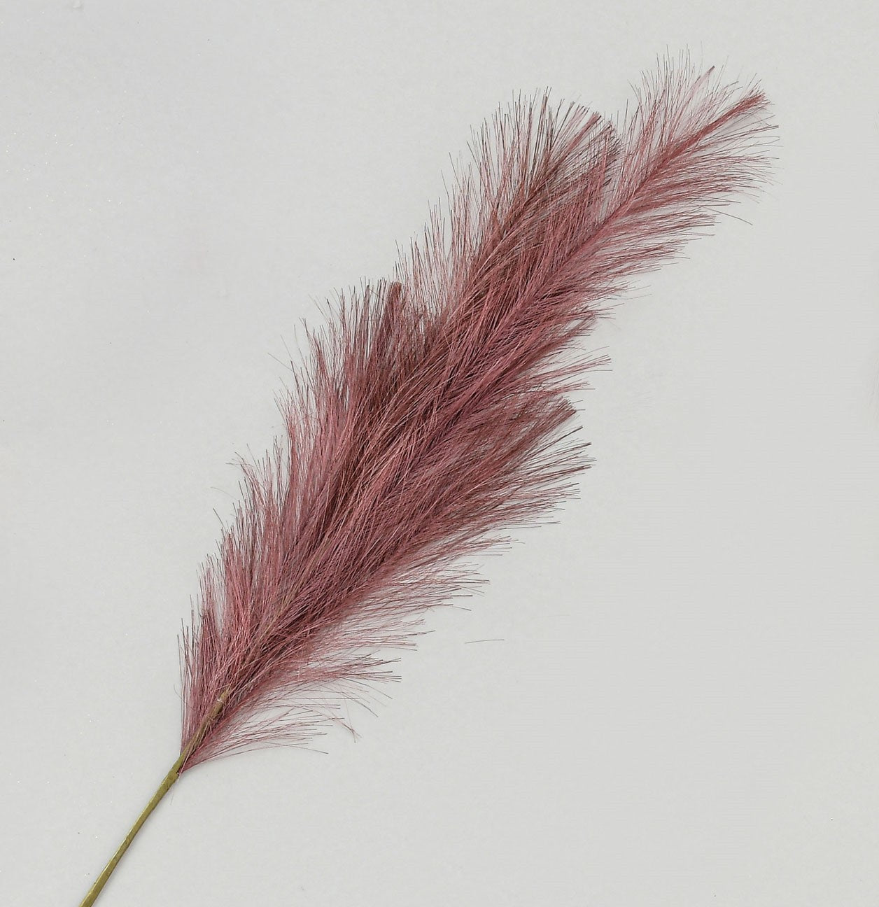 Burgundy Reed Grass Spray (96cm)