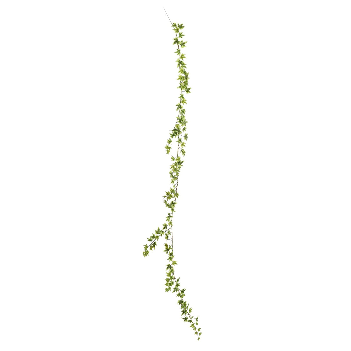 Green Variegated Ivy Garland (182cm)