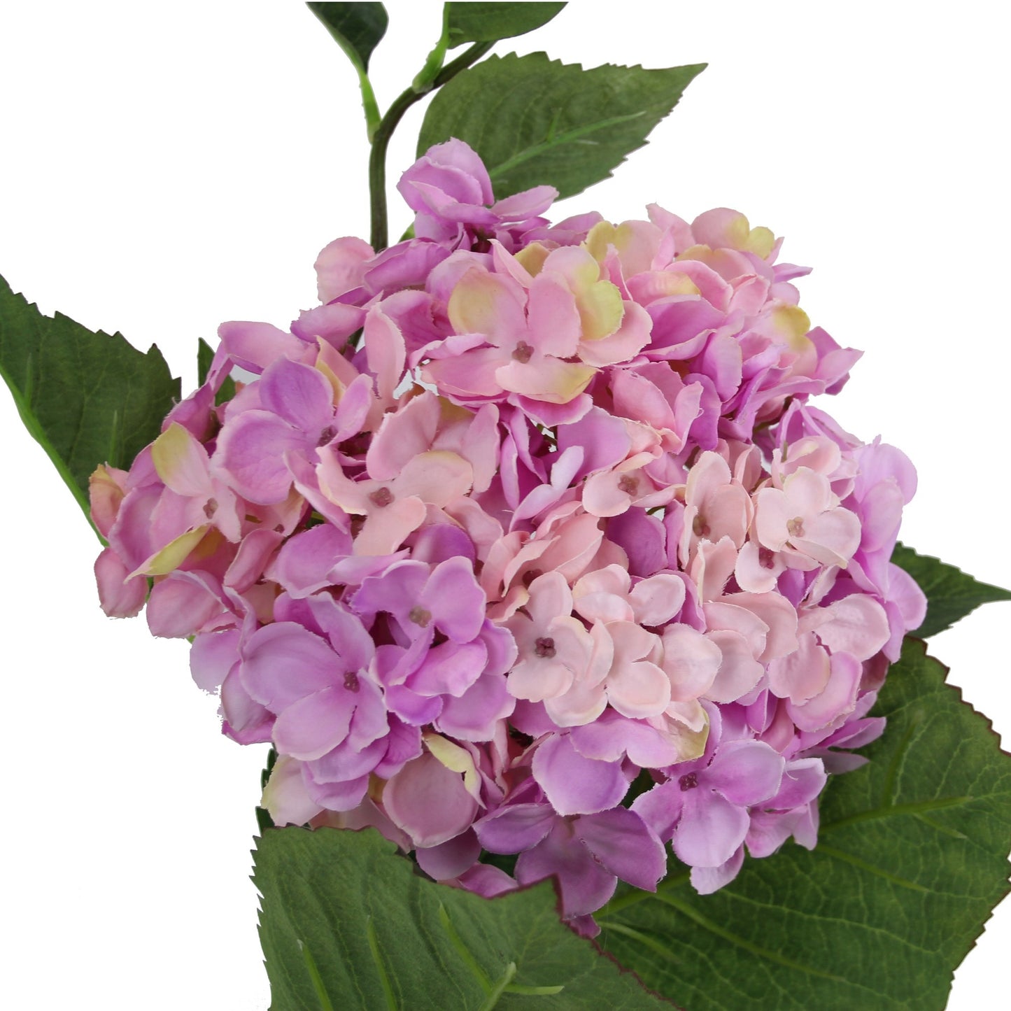 Large Hydrangea Purple &amp; Pink