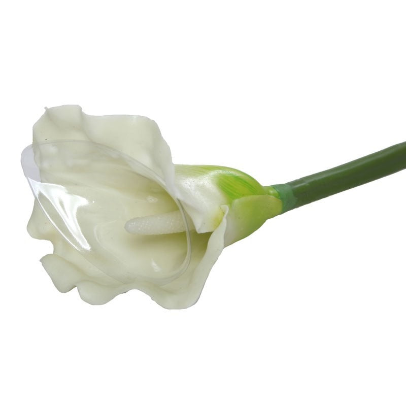 Large Calla Lily Cream &amp; Green