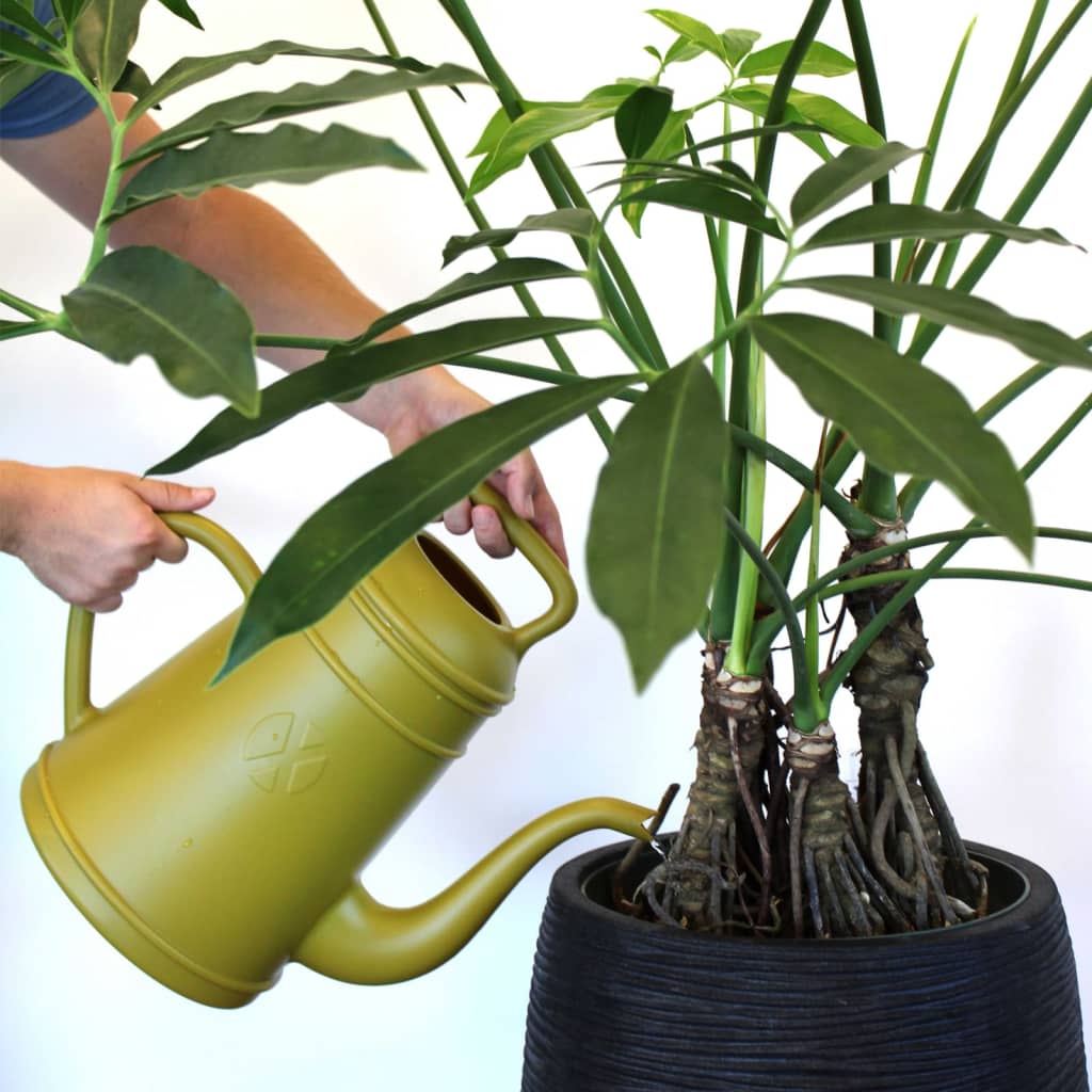 Capi Watering Can Xala Lungo 12 L Curry Yellow