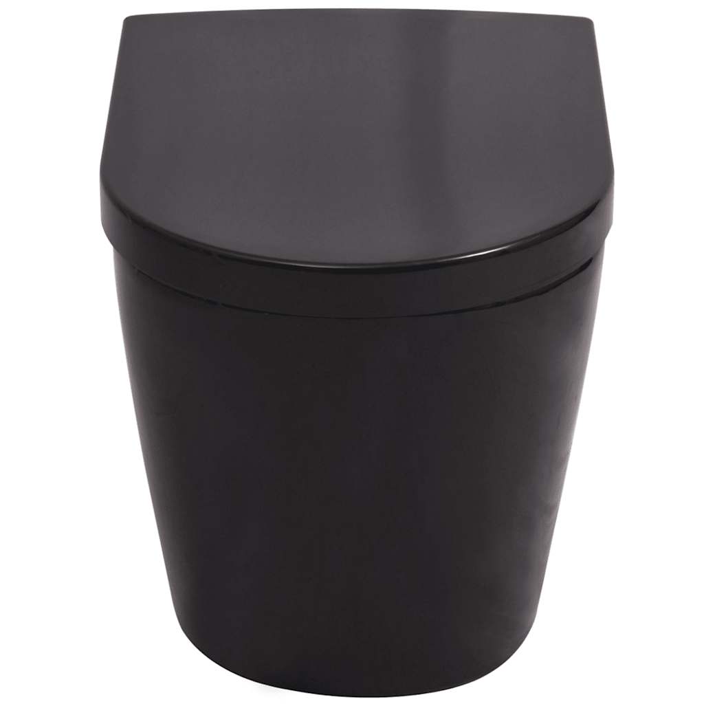 Wall Hung Toilet with Concealed Cistern Ceramic Black