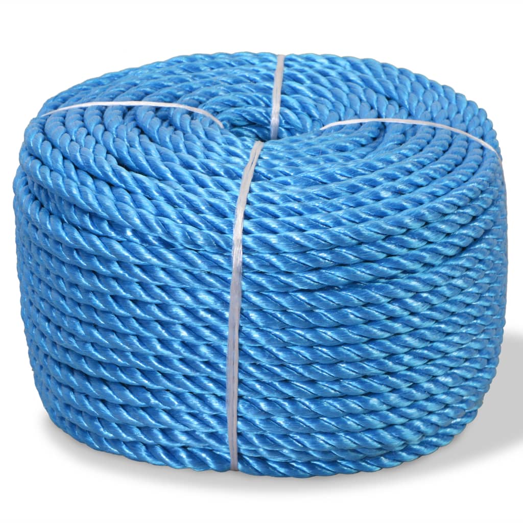 91305 vidaXL Twisted Rope Polypropylene 10 mm 100 m Blue