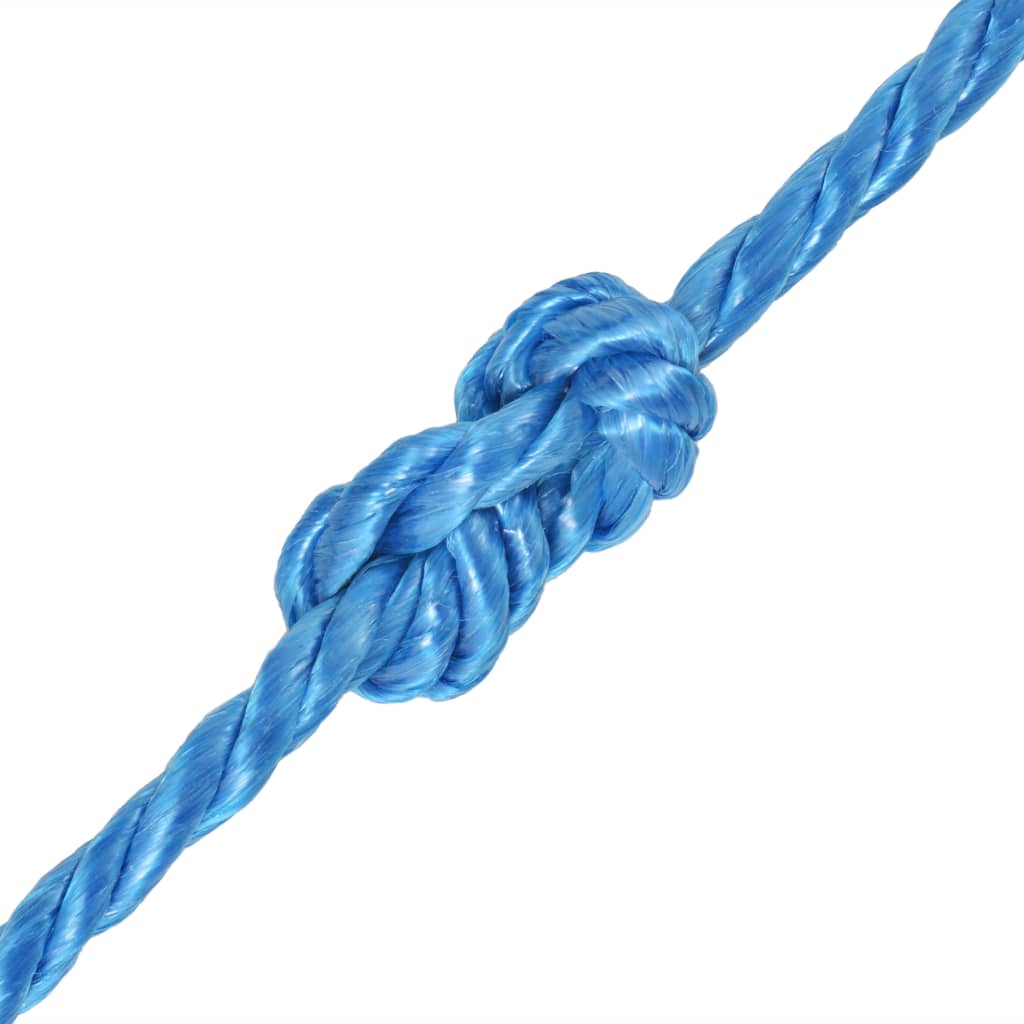 91305 vidaXL Twisted Rope Polypropylene 10 mm 100 m Blue