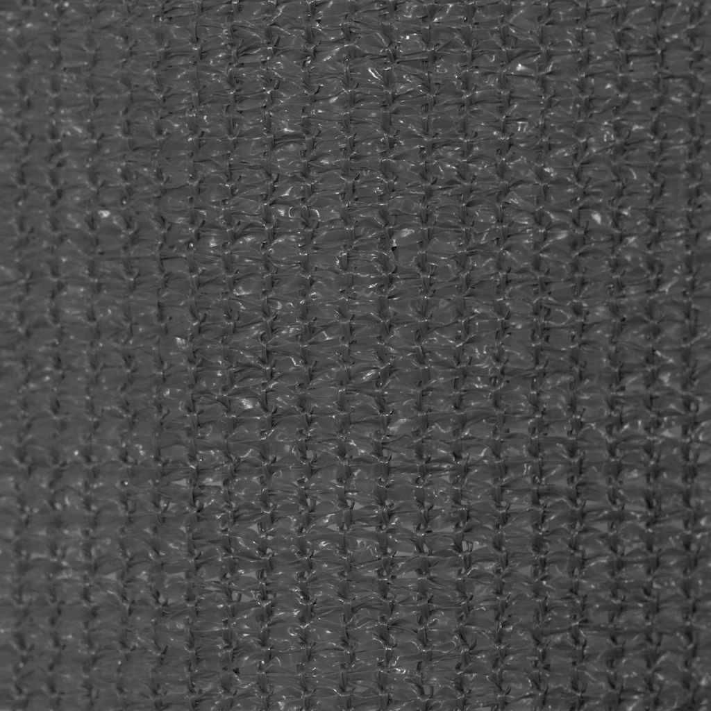 Outdoor Roller Blind 160x140 cm Anthracite