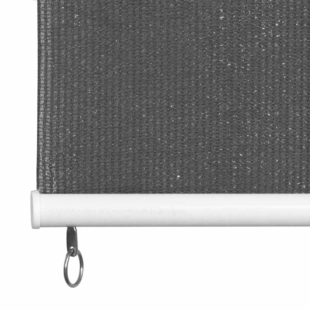 Outdoor Roller Blind 240x140 cm Anthracite