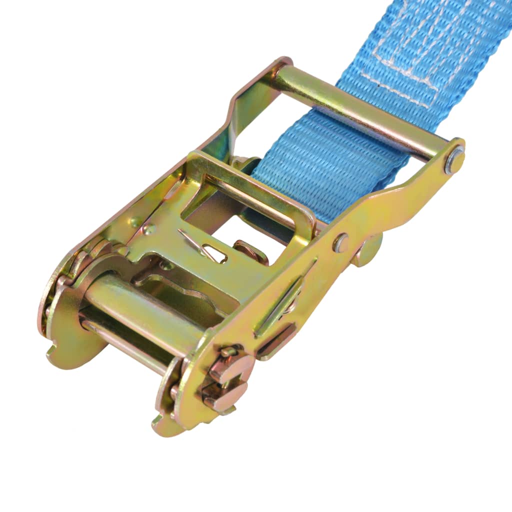 vidaXL Ratchet Tie Down Straps 4 pcs 2 Tonnes 6mx38mm Blue