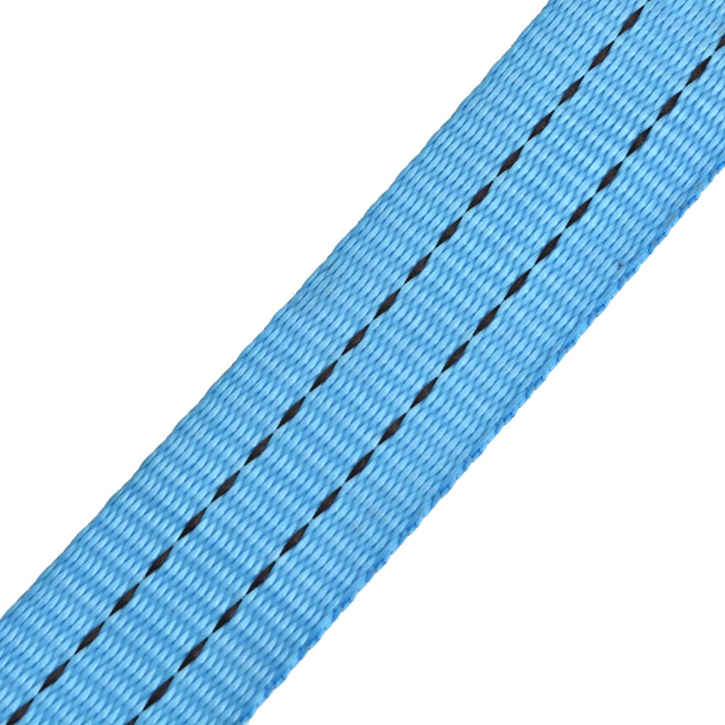 vidaXL Ratchet Tie Down Straps 10 pcs 2 Tonnes 6mx38mm Blue