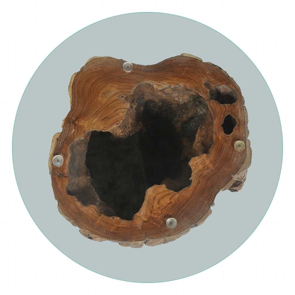 245069 vidaXL Coffee Table Teak Glass 50x40 cm