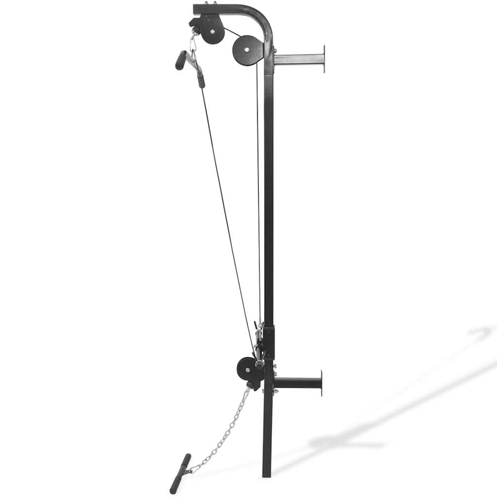 91369 vidaXL Wall-mounted Home Gym with 2 Pulleys