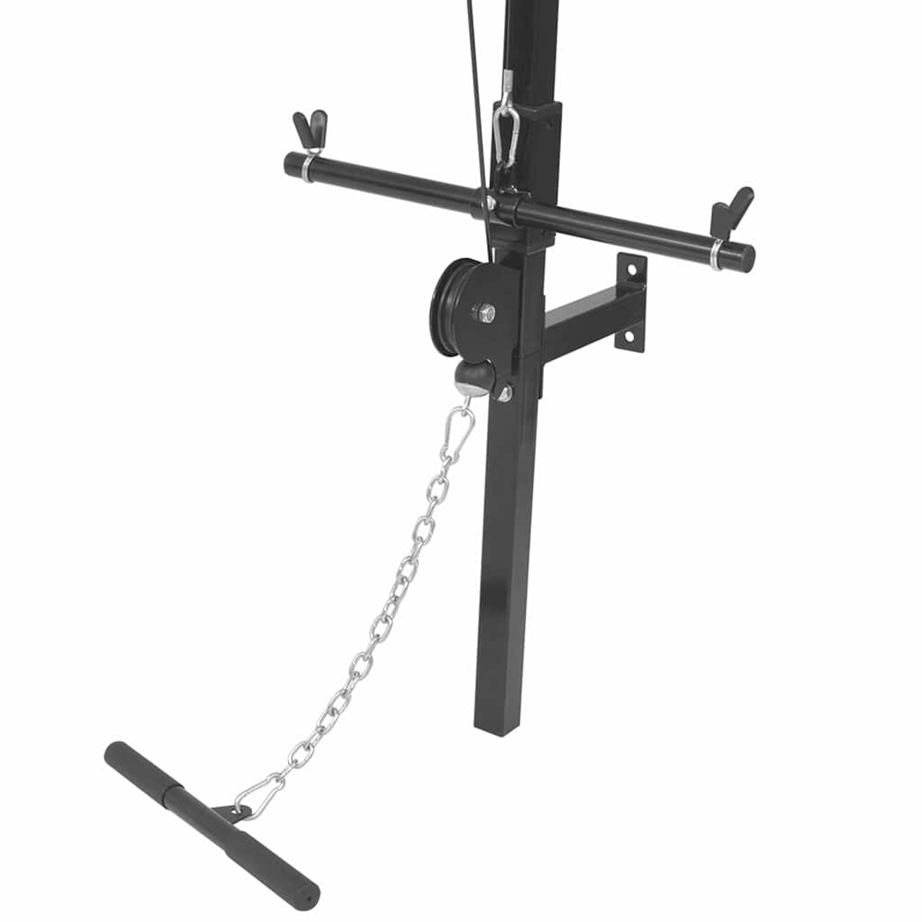 91369 vidaXL Wall-mounted Home Gym with 2 Pulleys