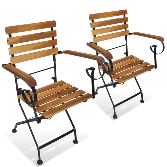 Folding Chairs 2 pcs Steel and Solid Acacia Wood