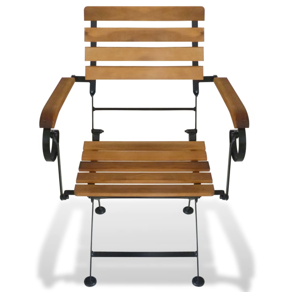 Folding Garden Chairs 2 pcs Steel and Solid Acacia Wood