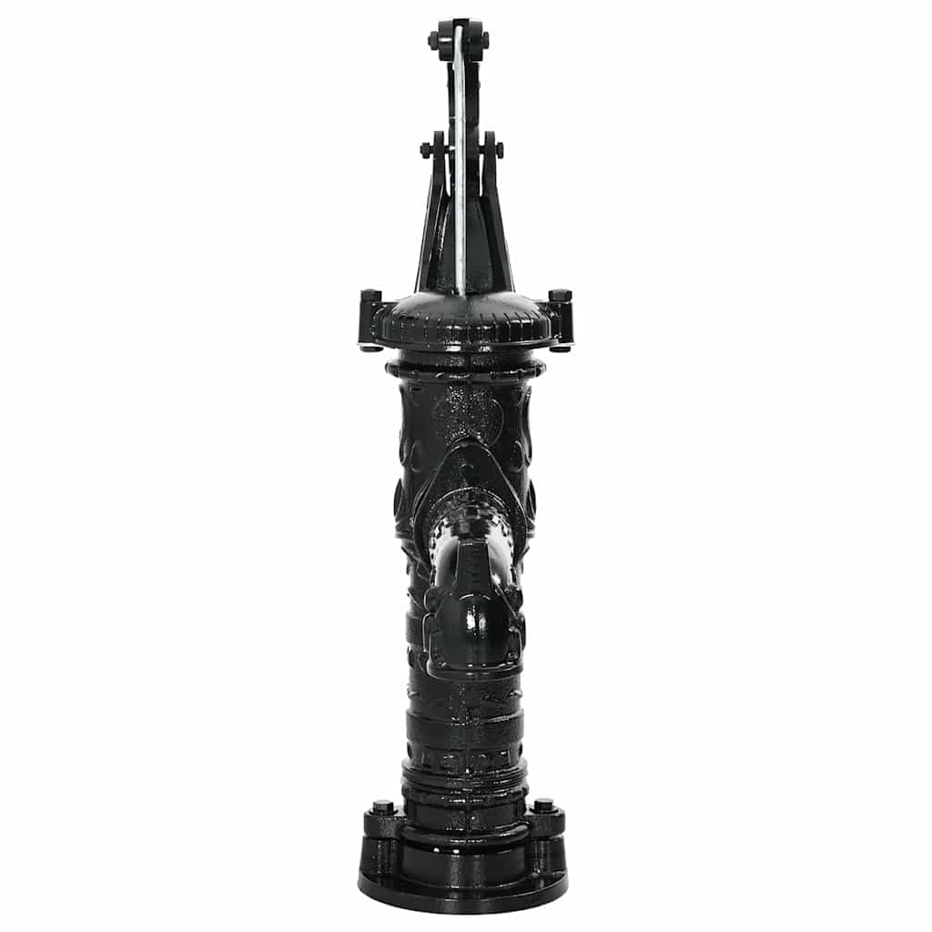43867 vidaXL Garden Hand Water Pump Cast Iron