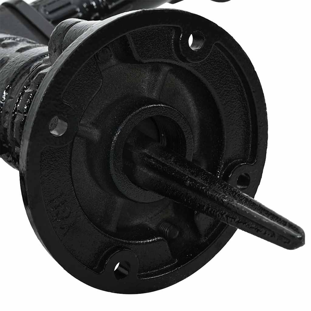 43867 vidaXL Garden Hand Water Pump Cast Iron