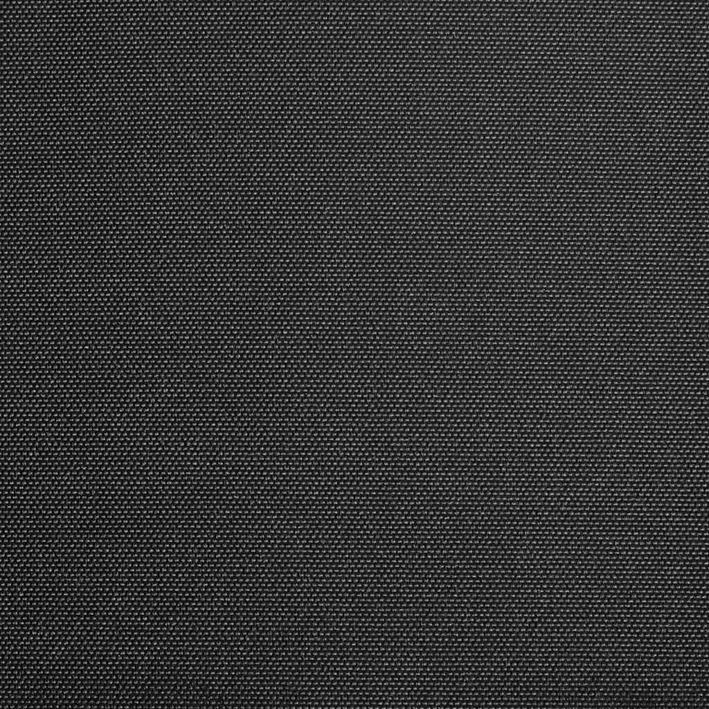 Awning Top Sunshade Canvas Anthracite 3x2.5 m