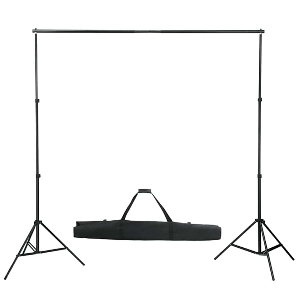 160061 vidaXL Photo Backdrop Support System 600x300 cm Black