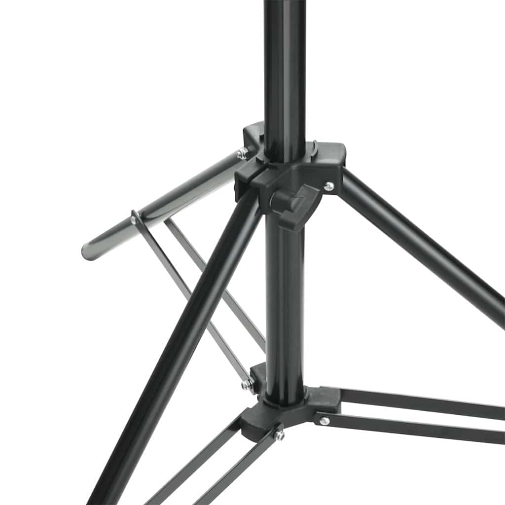 160061 vidaXL Photo Backdrop Support System 600x300 cm Black