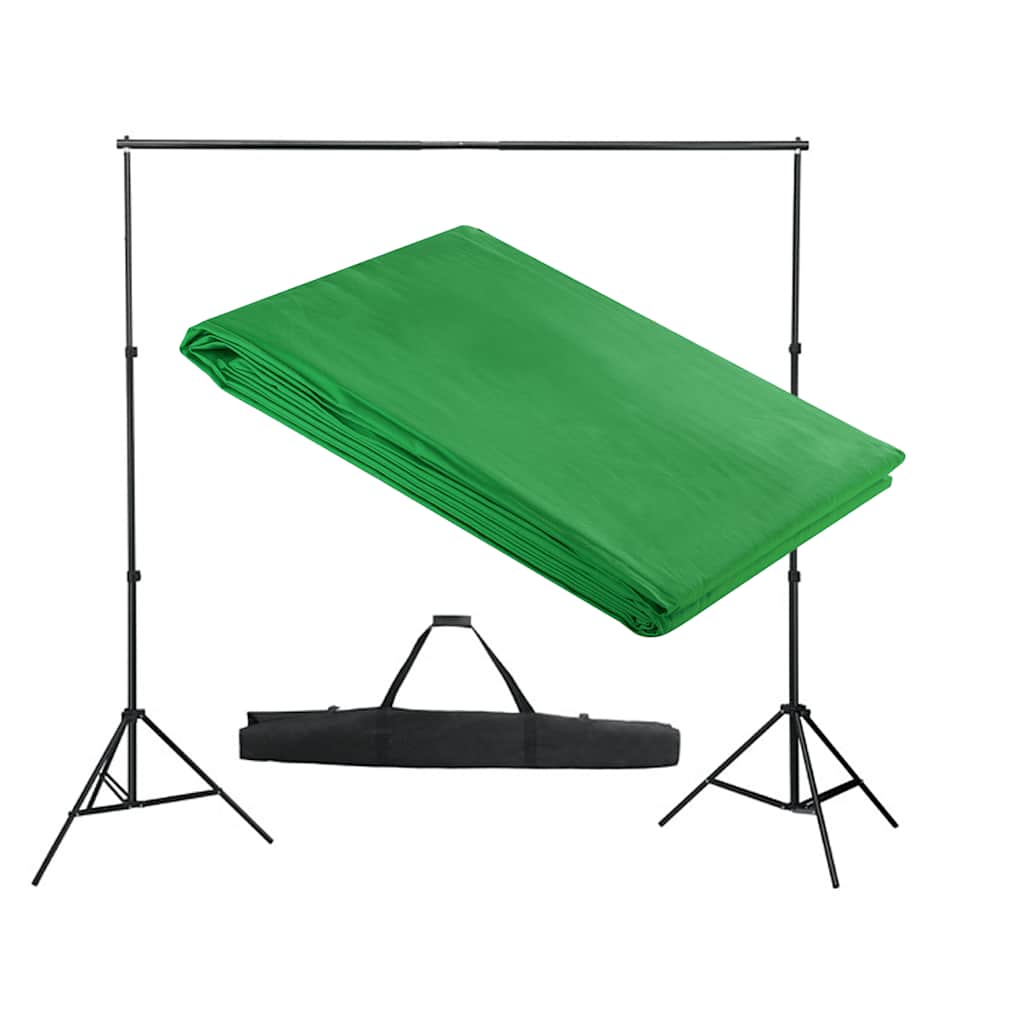 160066 vidaXL Backdrop Support System 300 x 300 cm Green