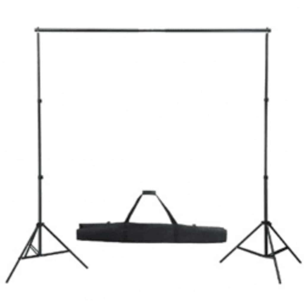 160066 vidaXL Backdrop Support System 300 x 300 cm Green
