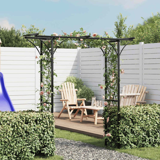 Garden Arch | Black | Iron | 200 x 52 x 204 cm | Durable | Garden Arch