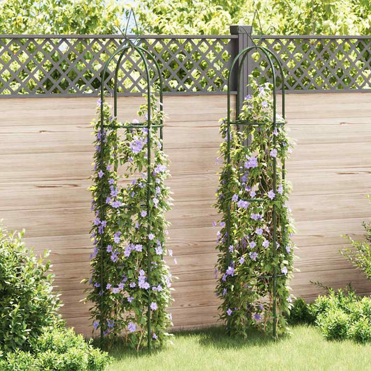Garden Arch | Dark green | Iron | Standard | Decorative Design