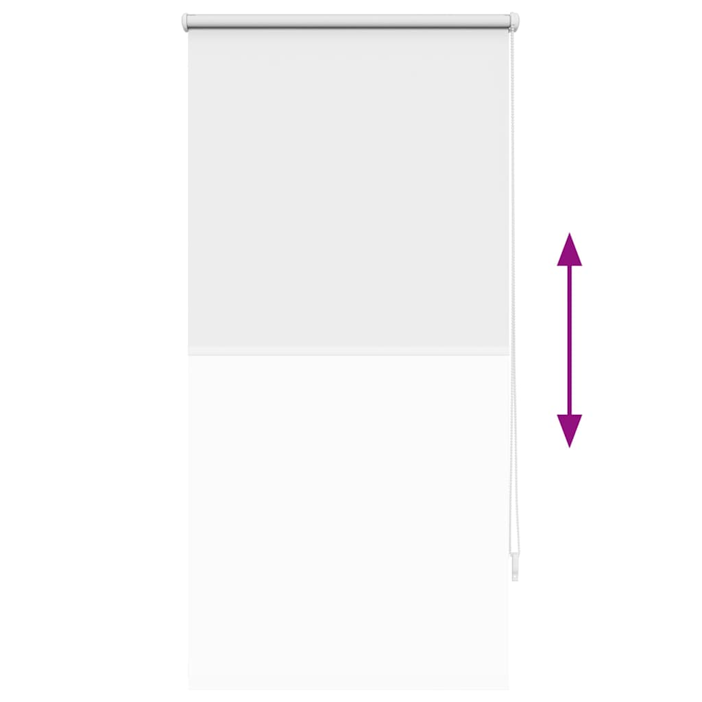 Roller Blind Blackout 64.4x120 cm Fabric Width 60 cm White
