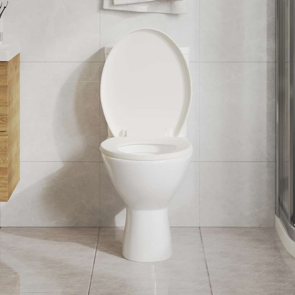 Soft-close Toilet Seat with Quick-release Design White