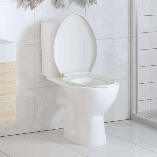 Soft-close Toilet Seat with Quick-release Design White