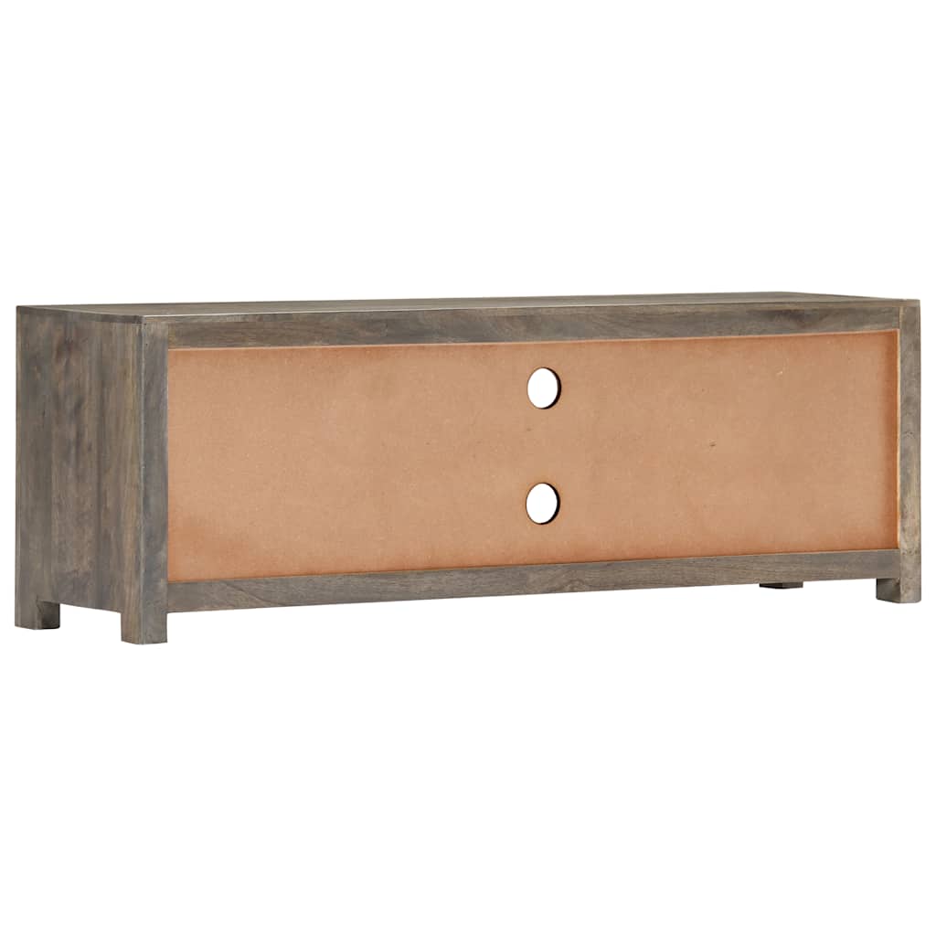 282735 vidaXL TV Cabinet Grey 120x30x40 cm Solid Mango Wood
