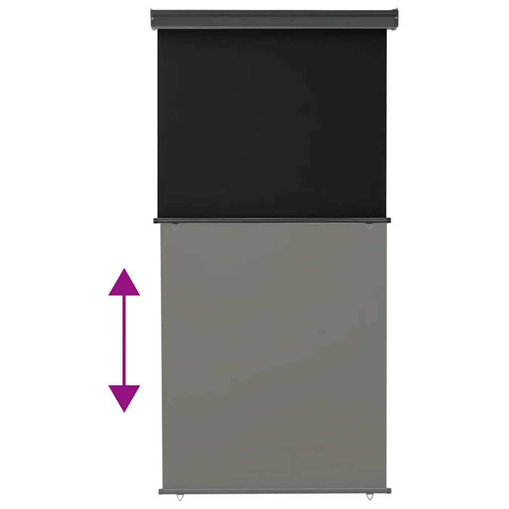 Balcony Side Awning 125x250 cm Black