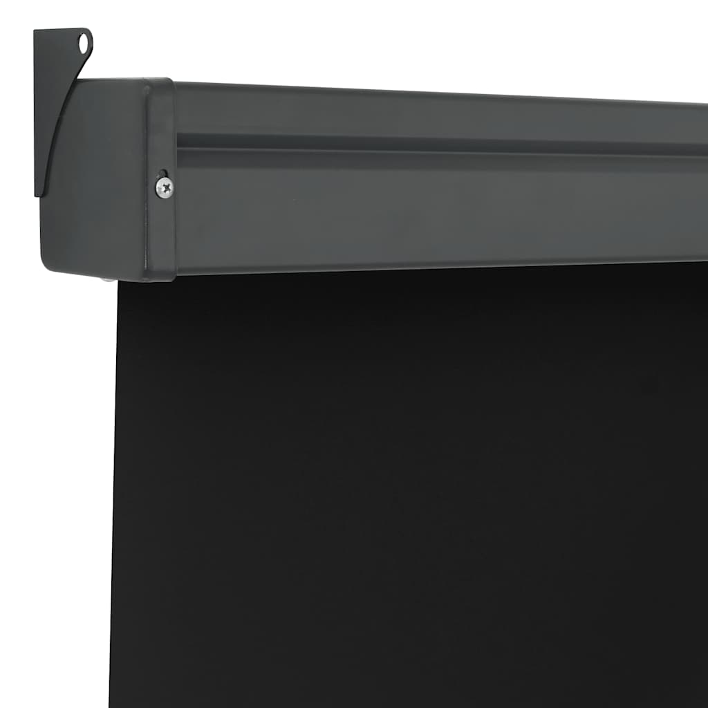 Balcony Side Awning 125x250 cm Black