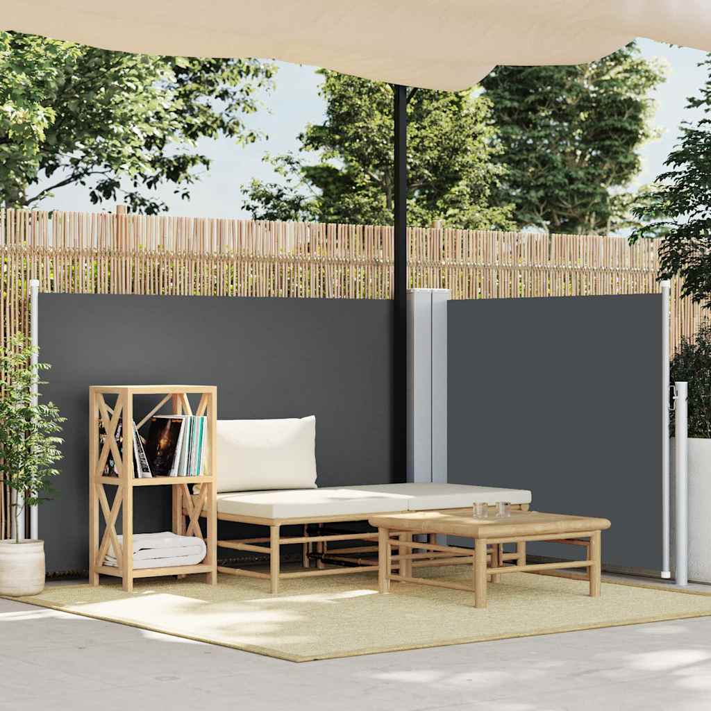 48480 vidaXL Retractable Side Awning Anthracite 120x1000 cm