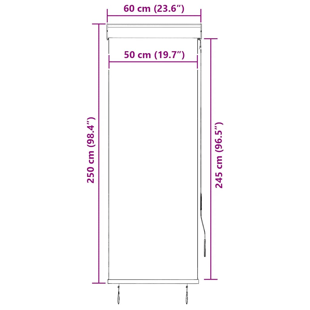 Outdoor Roller Blind 60x250 cm Blue and White