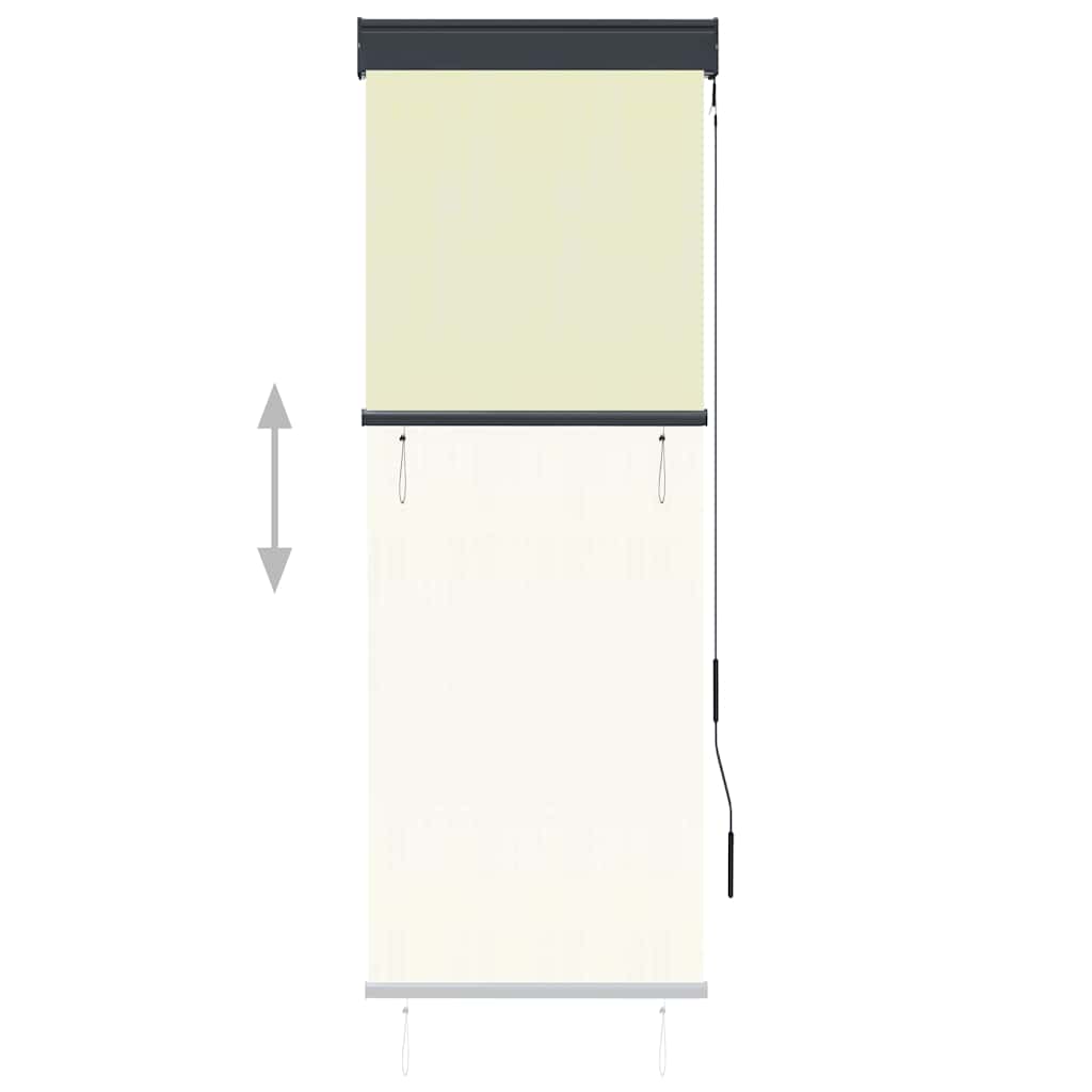 Outdoor Roller Blind 60x250 cm Cream