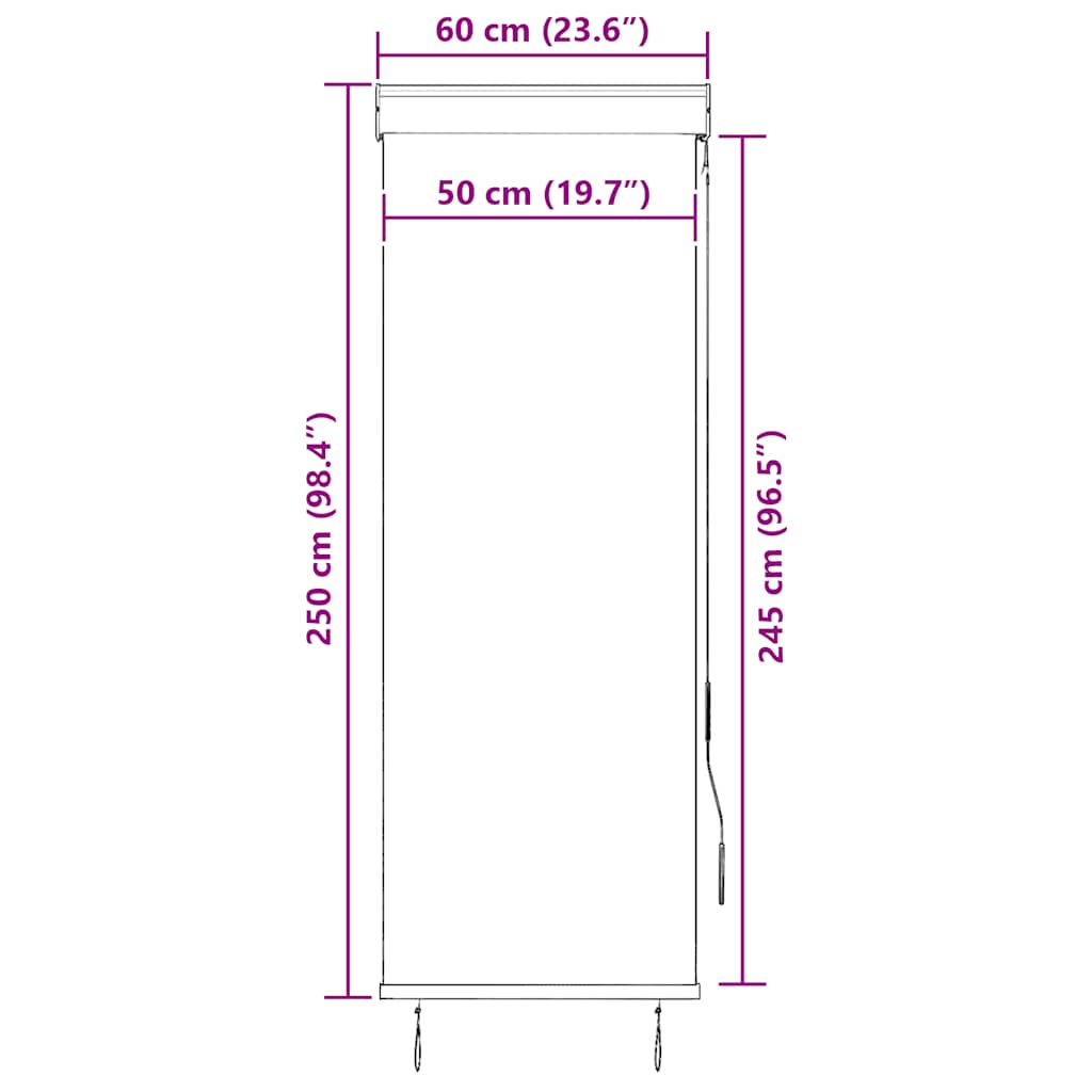 Outdoor Roller Blind 60x250 cm Cream