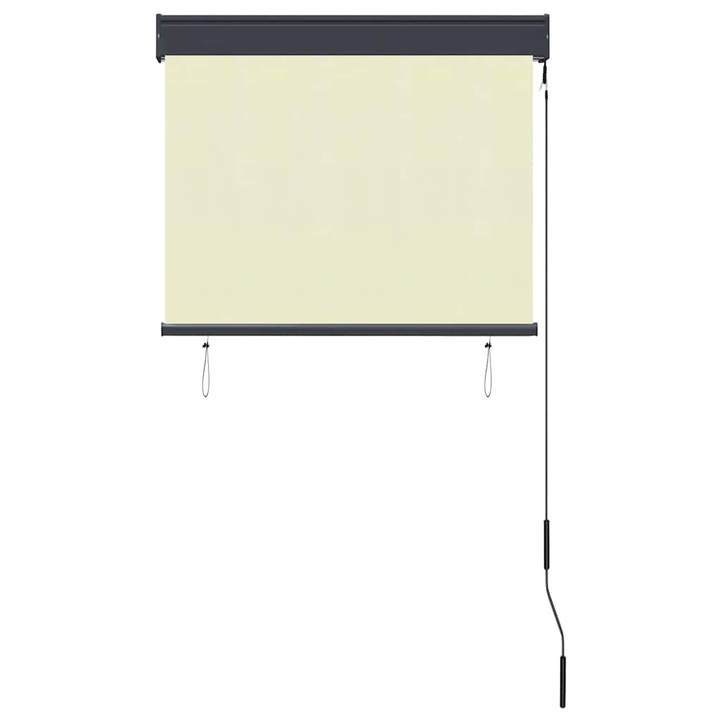 Outdoor Roller Blind 80x250 cm Cream