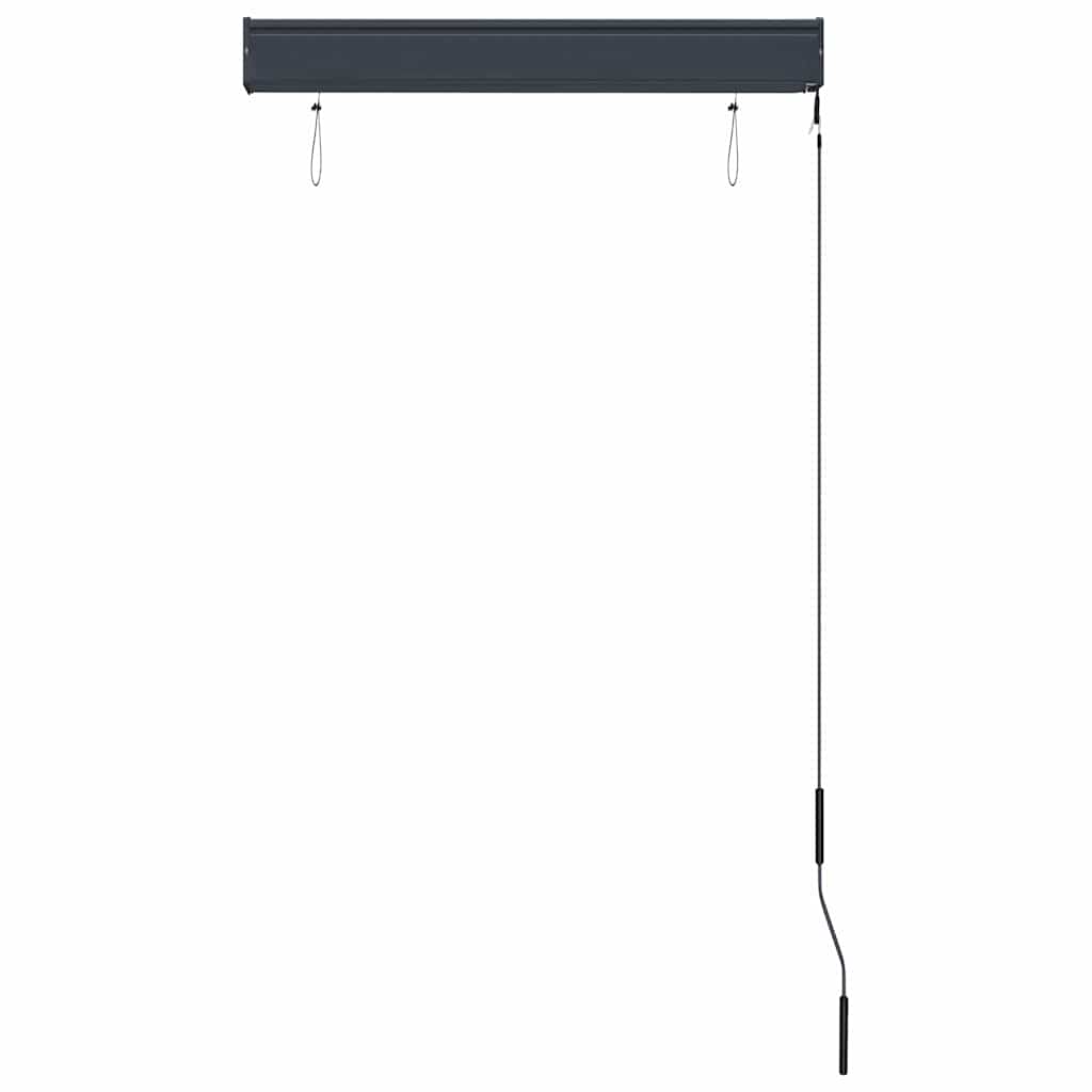 Outdoor Roller Blind 80x250 cm Cream