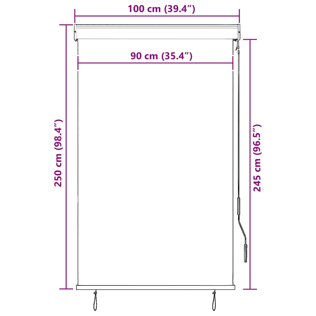 Outdoor Roller Blind 100x250 cm Blue and White