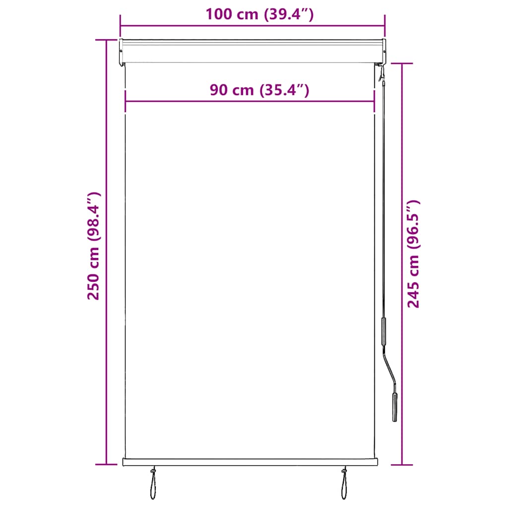 Outdoor Roller Blind 100x250 cm Yellow and Blue